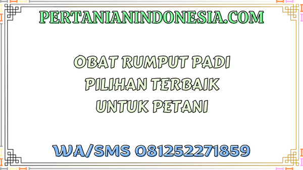 Obat Rumput Padi Pilihan Terbaik Untuk Petani